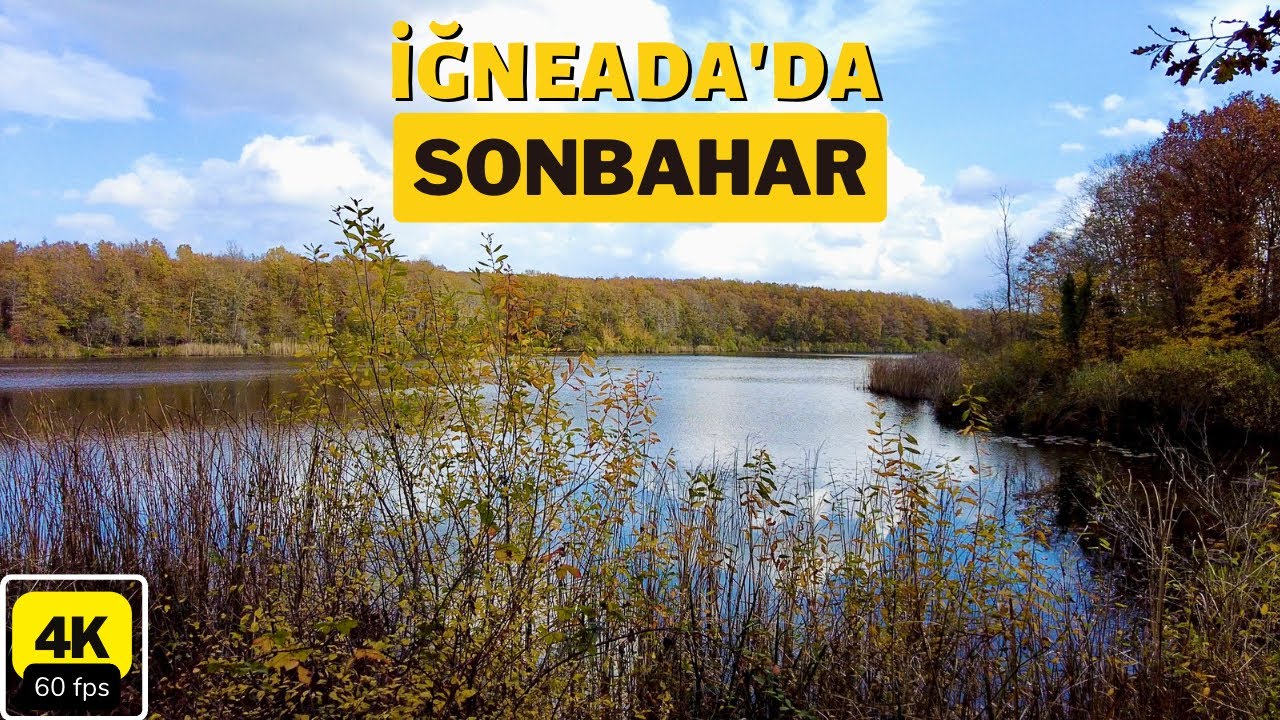 İğneada Longoz Ormanları Sonbaharın Muhteşem Renkleri